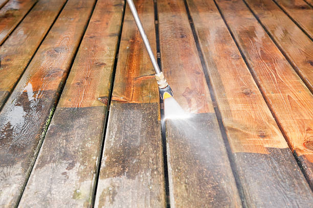 Best Pool Deck Cleaning  in Lake Placid, FL